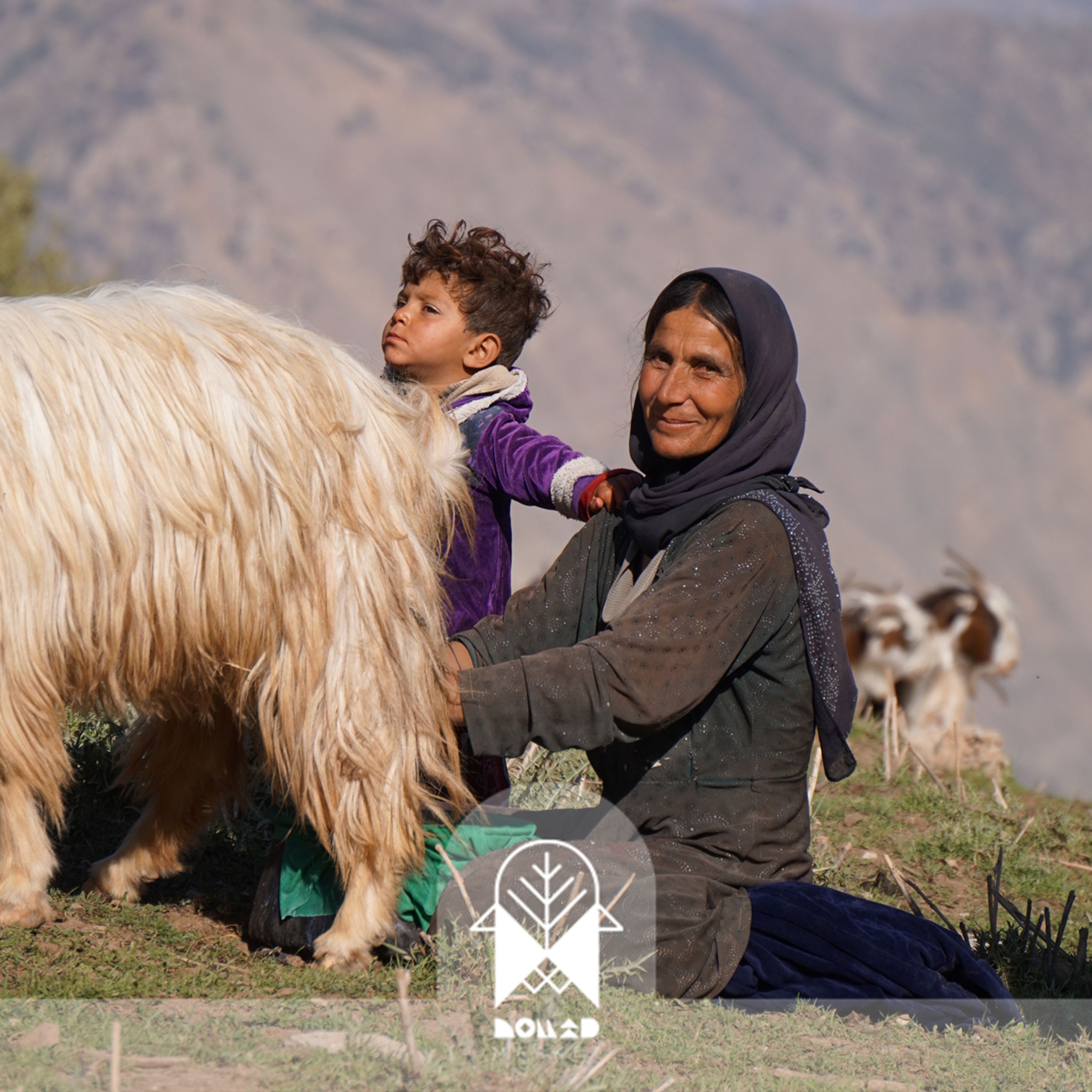 کشک بز عشایری - یک کیلویی
