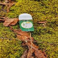 مام ژله ای گیاهی ارسال رایگان 