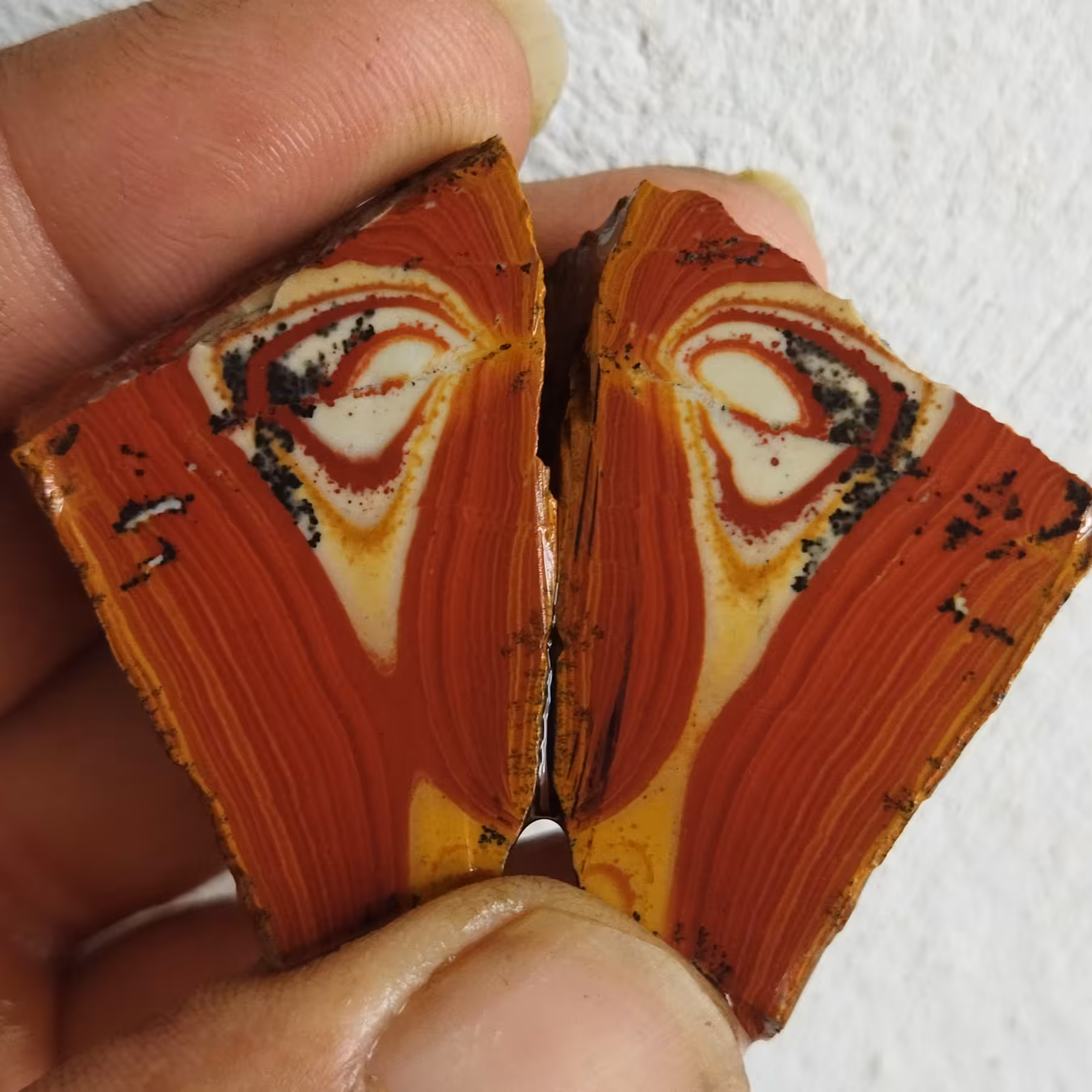 جاسپر پیکاسو