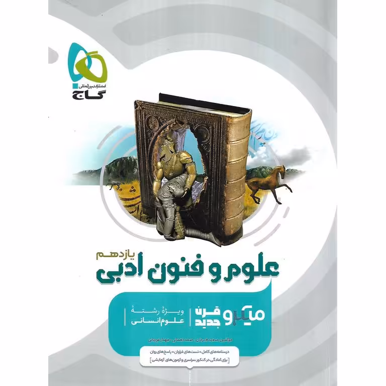 علوم و فنون ادبی یازدهم میکرو گاج