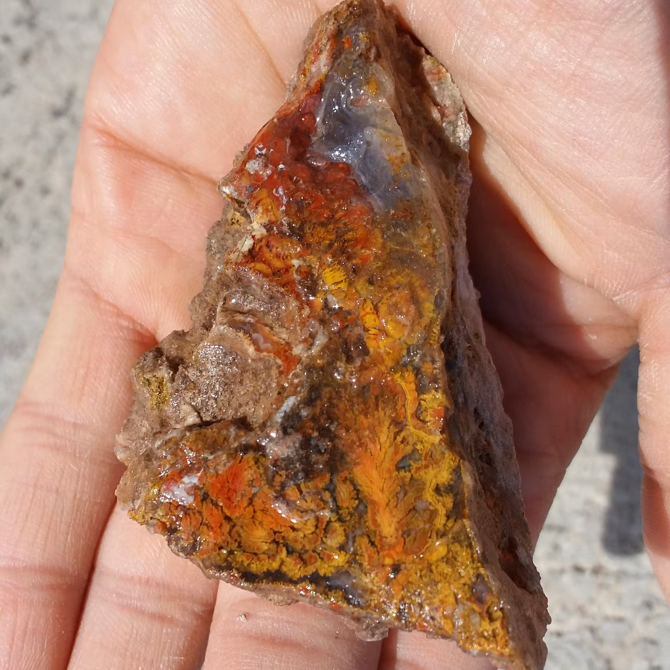 سنگ راف عقیق شجر منظره 7رنگ تک شجر بسیار واضح  شاهکار خلقت 100 در صد طبیعی
تابلو نقاشی طبیعی
بینظیر خاااص