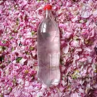 گلاب 80 درصد گل دو آتیشه  1 لیتری