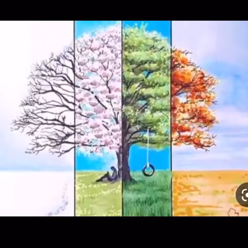 نقاشی دیوارکوب چهار فصل روی چهار بشقاب جدا بالایی 15 و 20