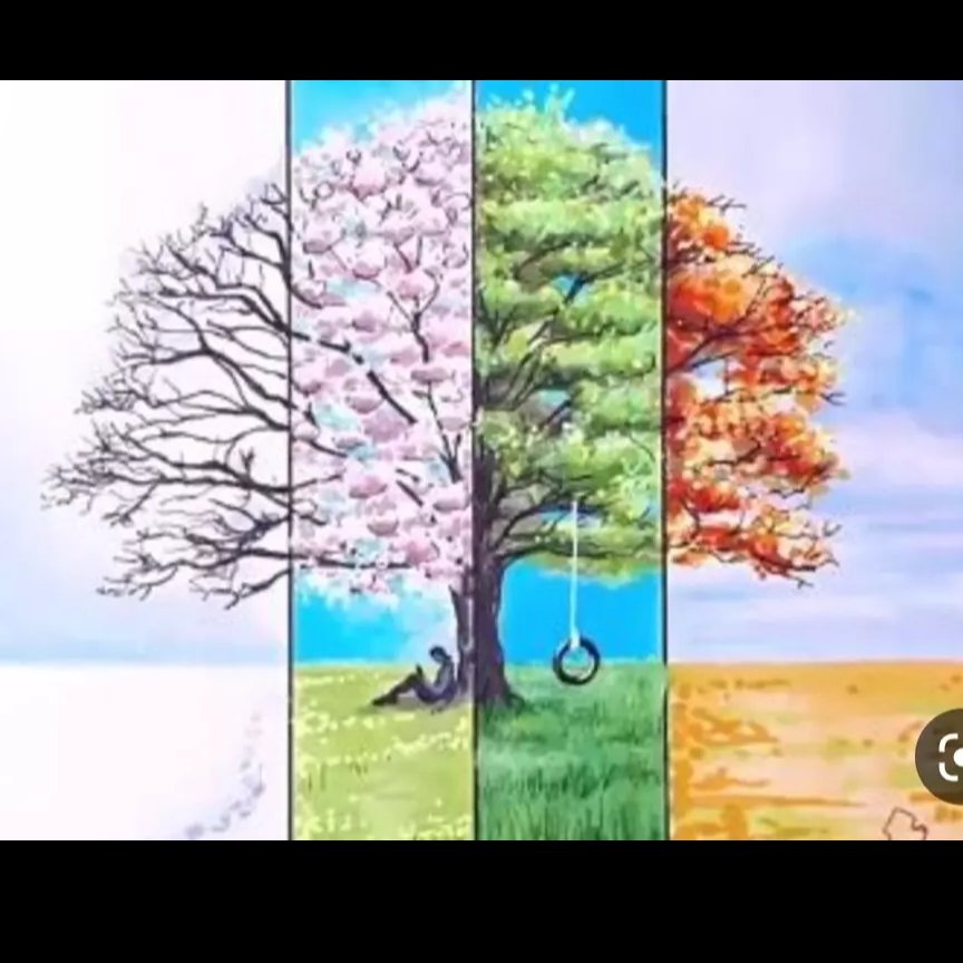 نقاشی دیوارکوب چهار فصل روی چهار بشقاب جدا بالایی 15 و 20