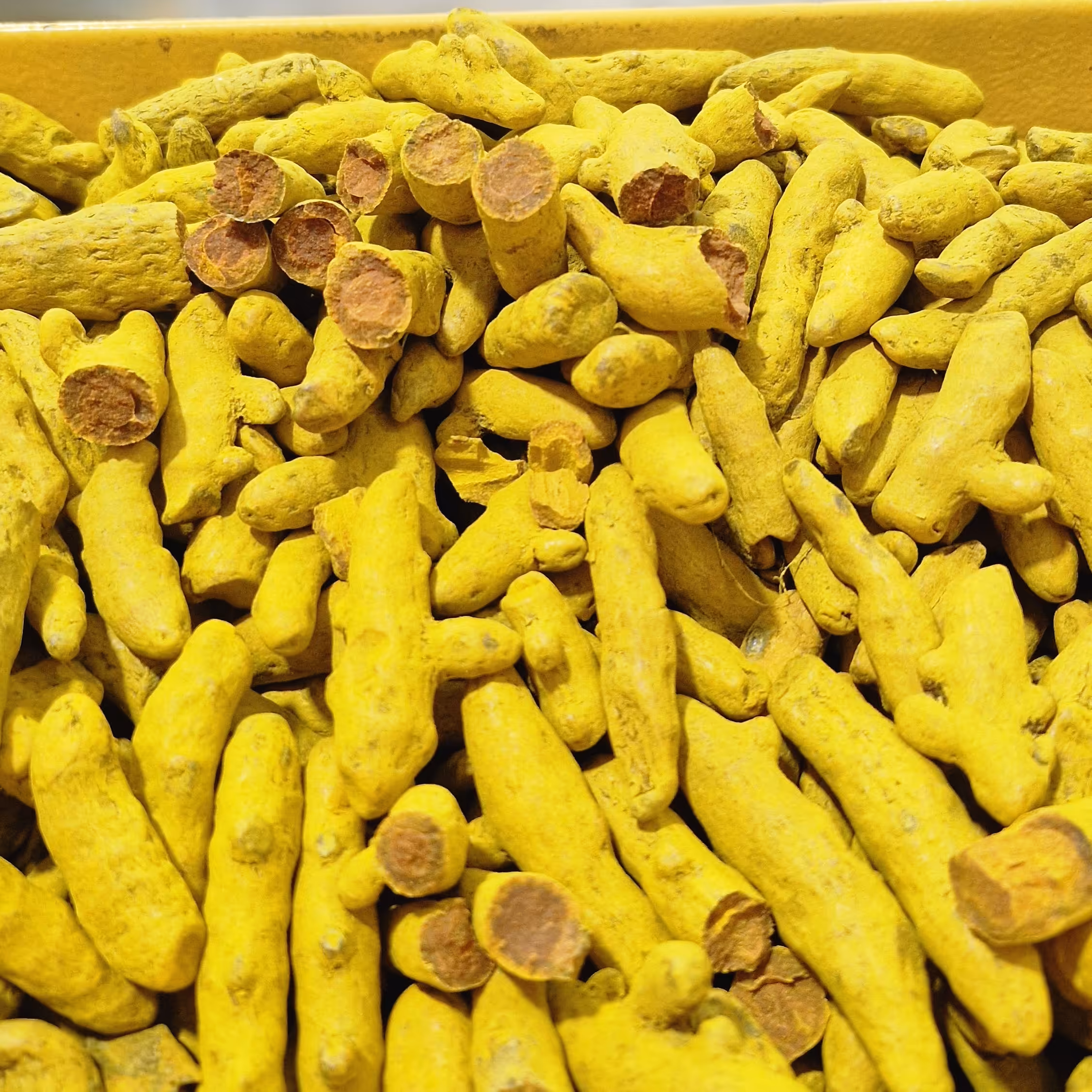 زردچوبه منطقه راجاپوری هندوستان آسیاب خودمون