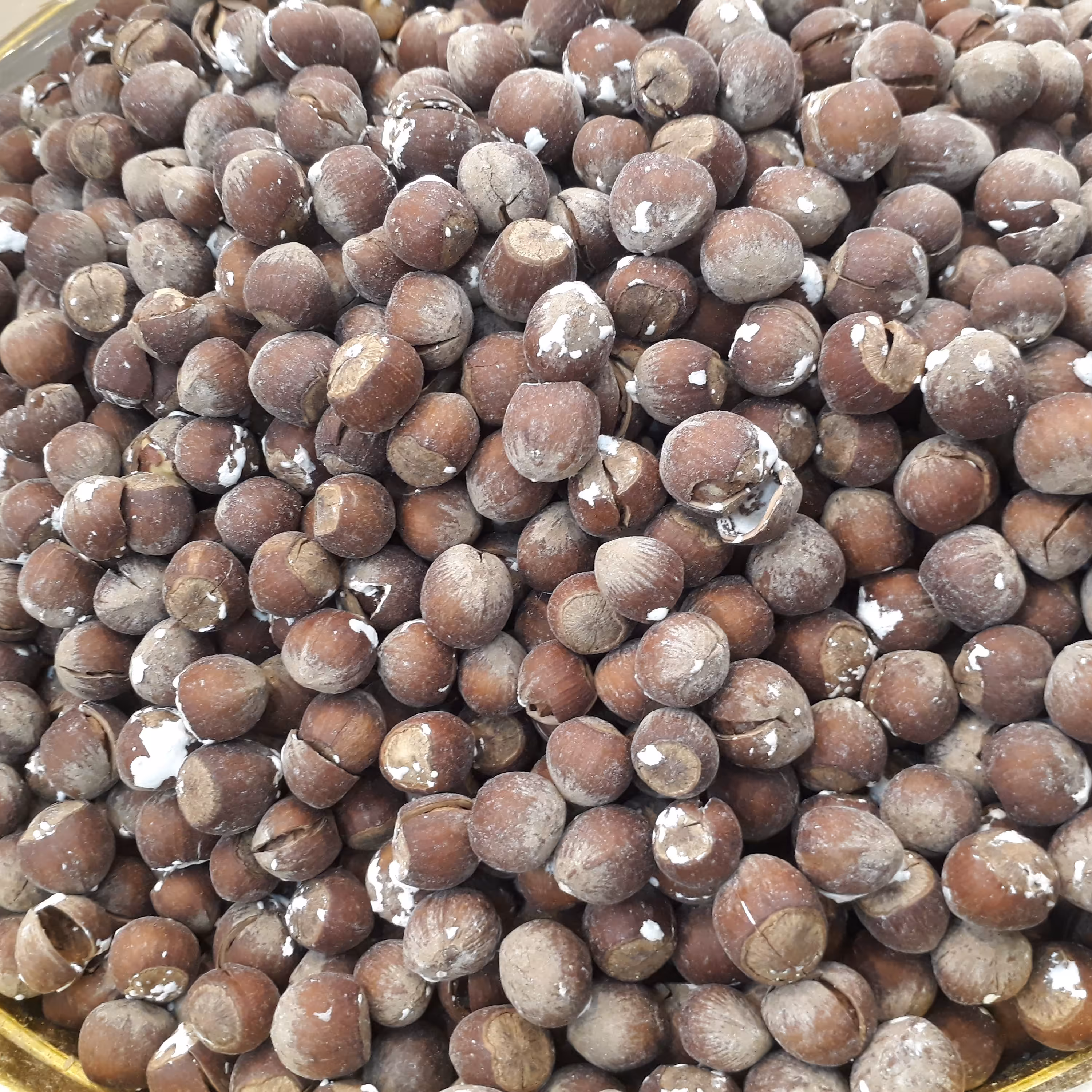 فندق با پوست سنتی(250)کهندان قم