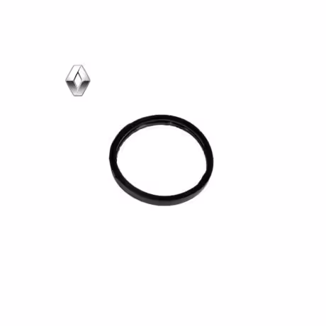 اورینگ ترموستات رنو استپ وی