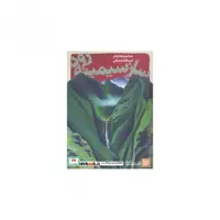 کتاب شعر شباب 2