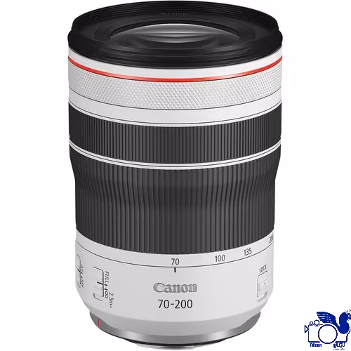 Canon RF 70-200mm f/4 L IS USM