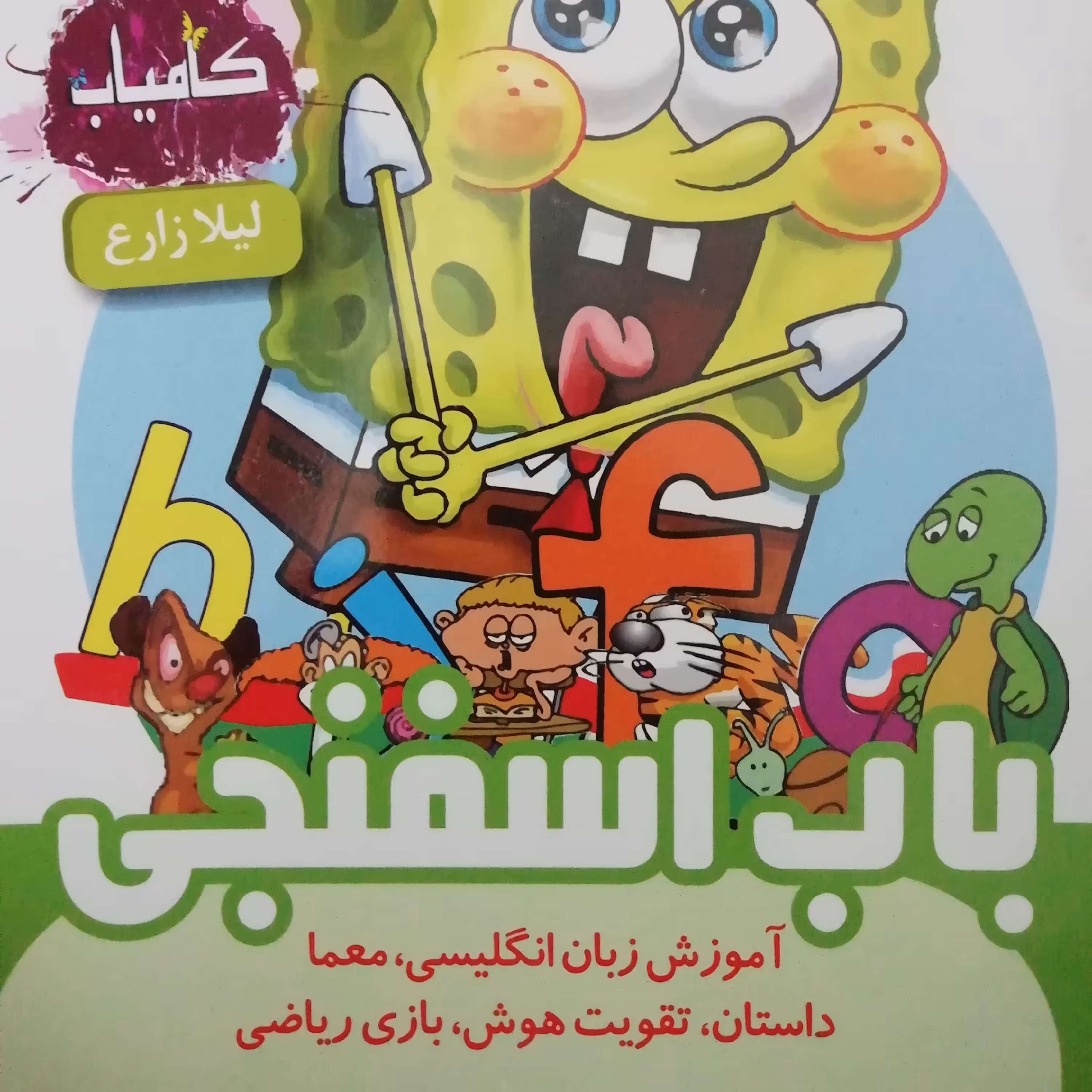 باب اسفنجی