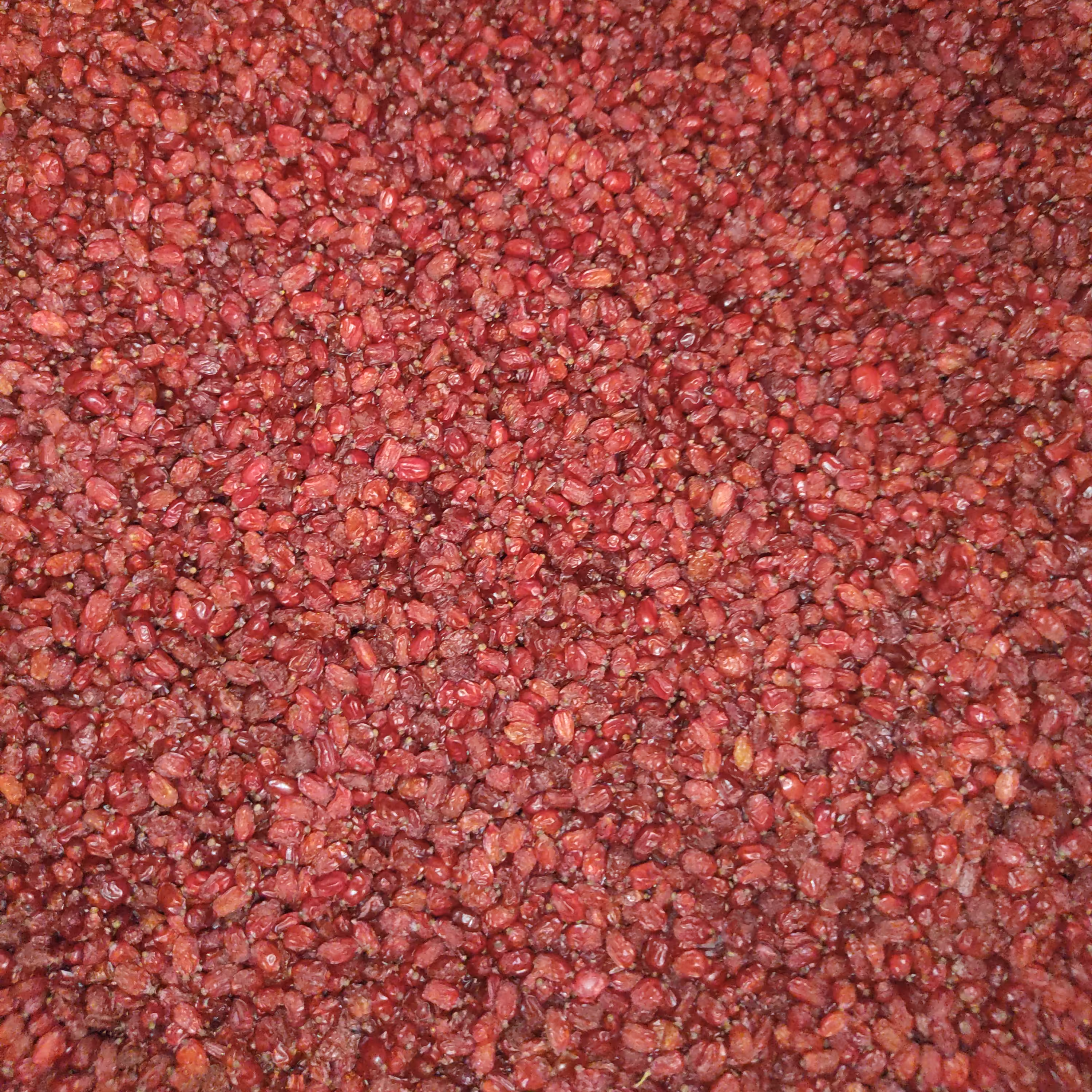 زرشک پفکی 900 گرمی  ، خشکبار