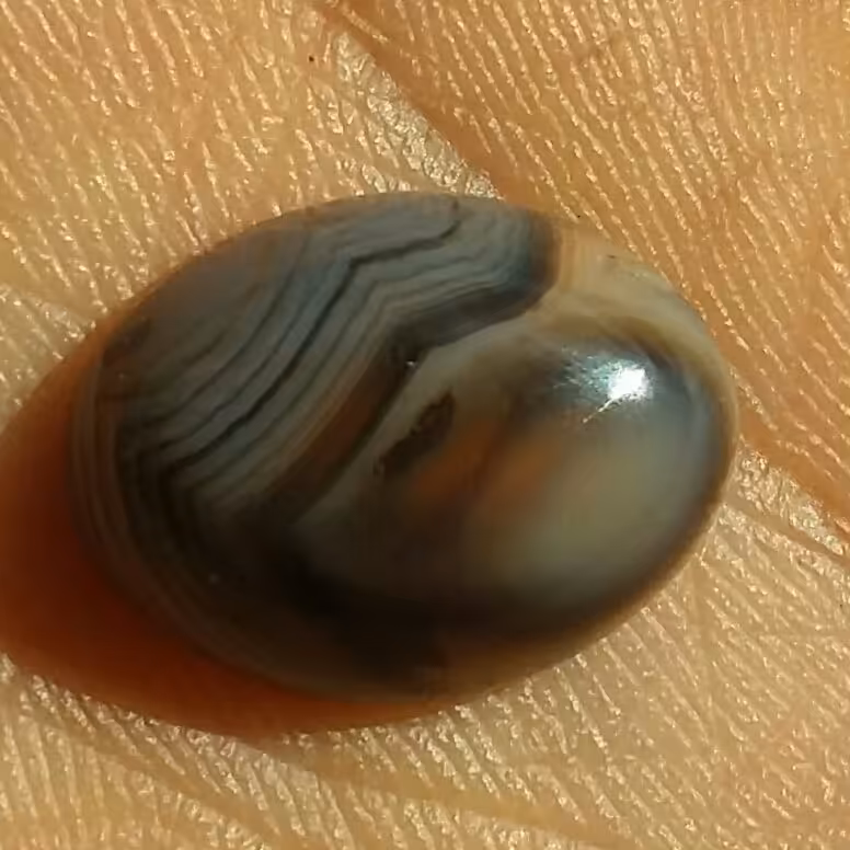 نگین معدنی عقیق سلیمانی 3بعدی رنگی موکول دار محششر 100در100 طبیعی خاا اا اص
شاهکار خلقت