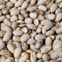 سویا آجیلی لیمویی 250 گرمی