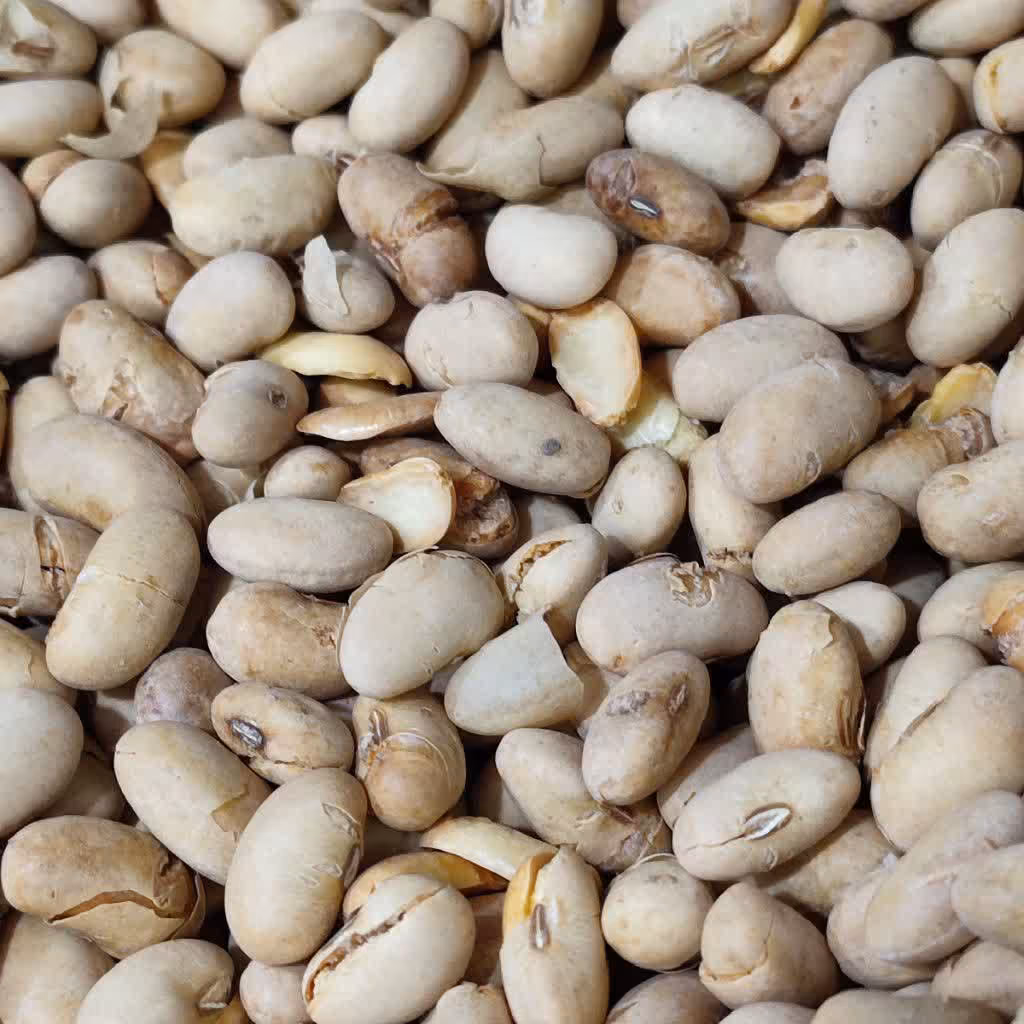 سویا آجیلی لیمویی 250 گرمی