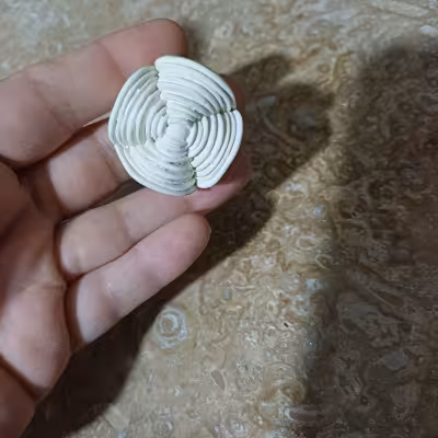 بیس خام ساکولنت شماره ی 7