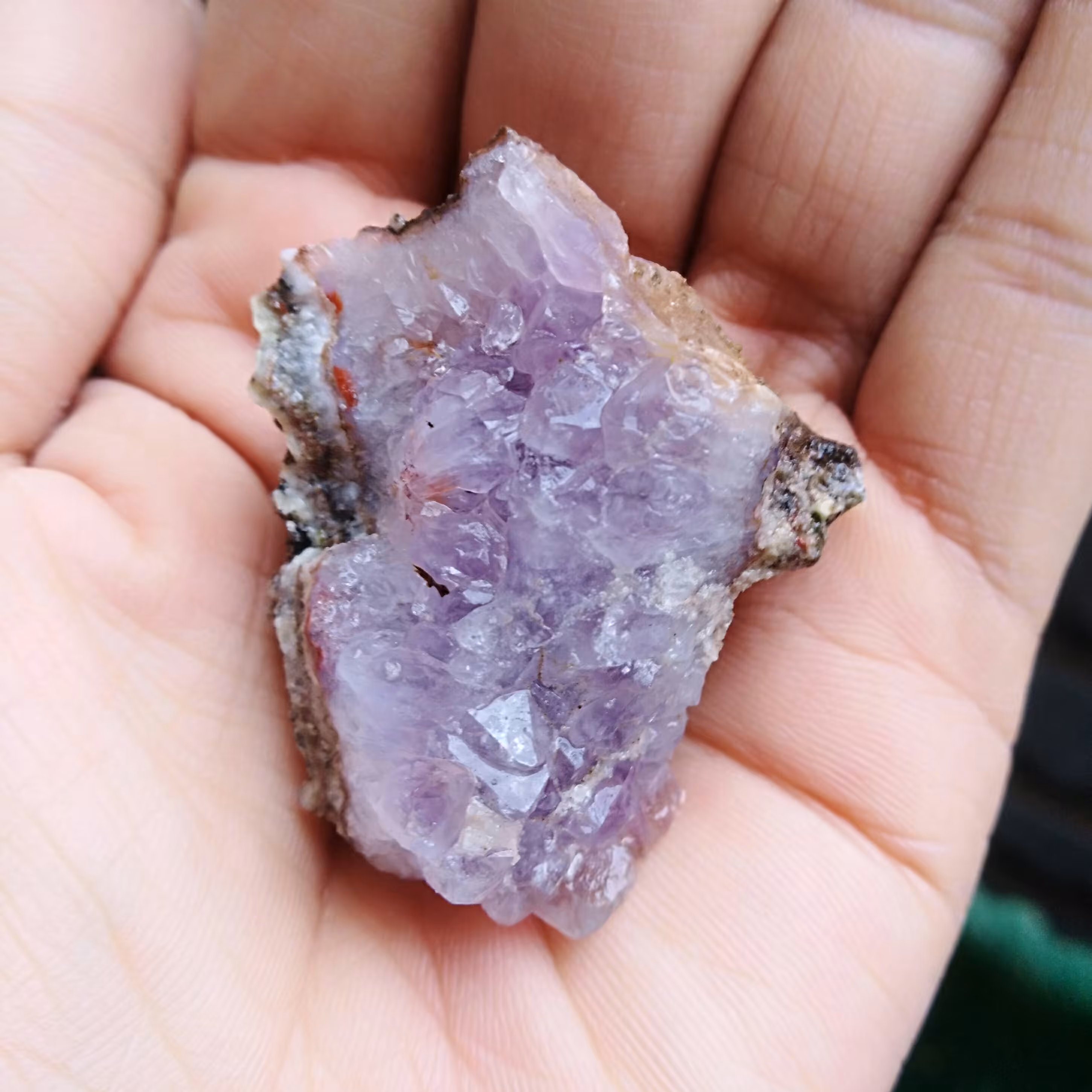 راف آمتیس بسیار زیبا کاملا طبیعی