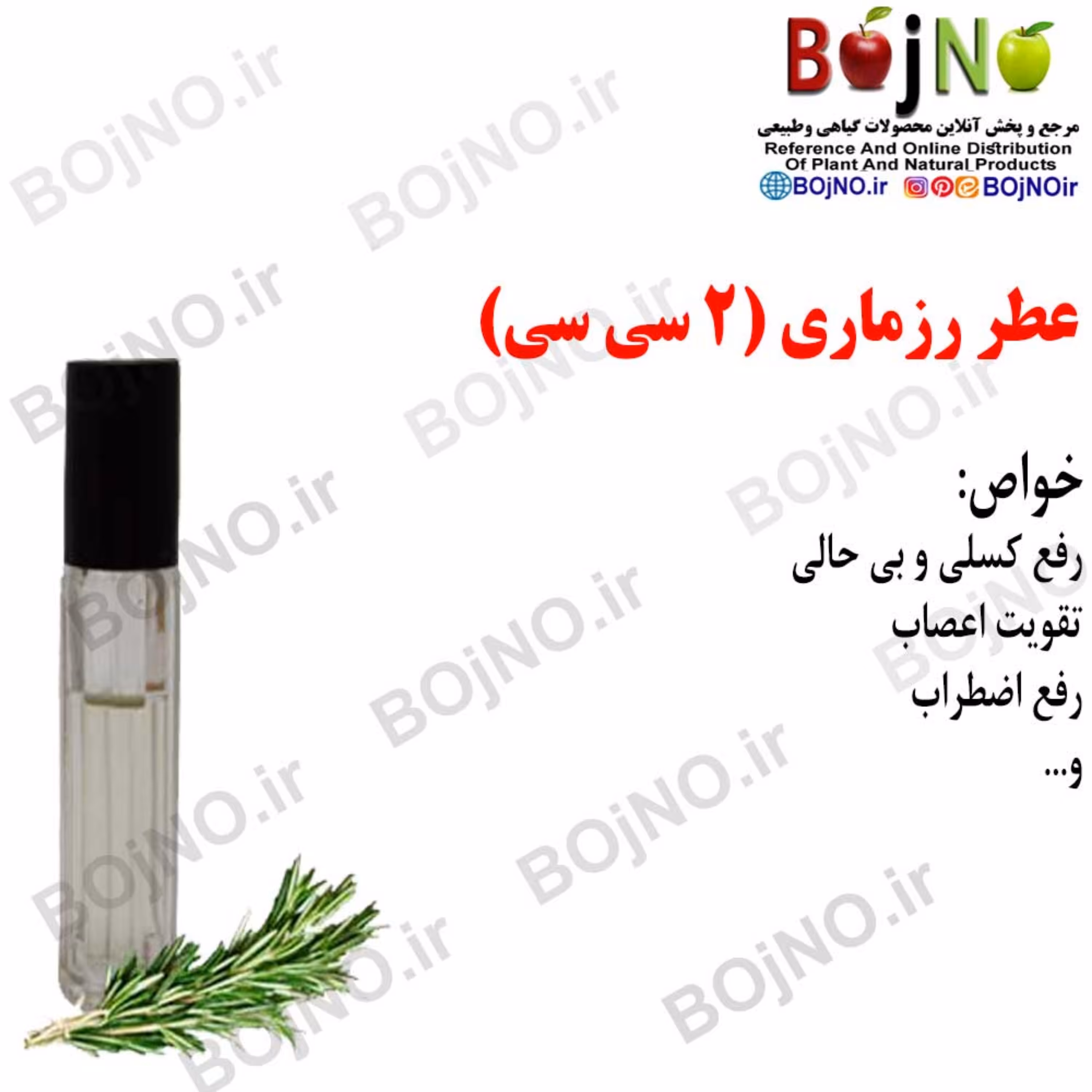 عطر رزماری 4 سی سی