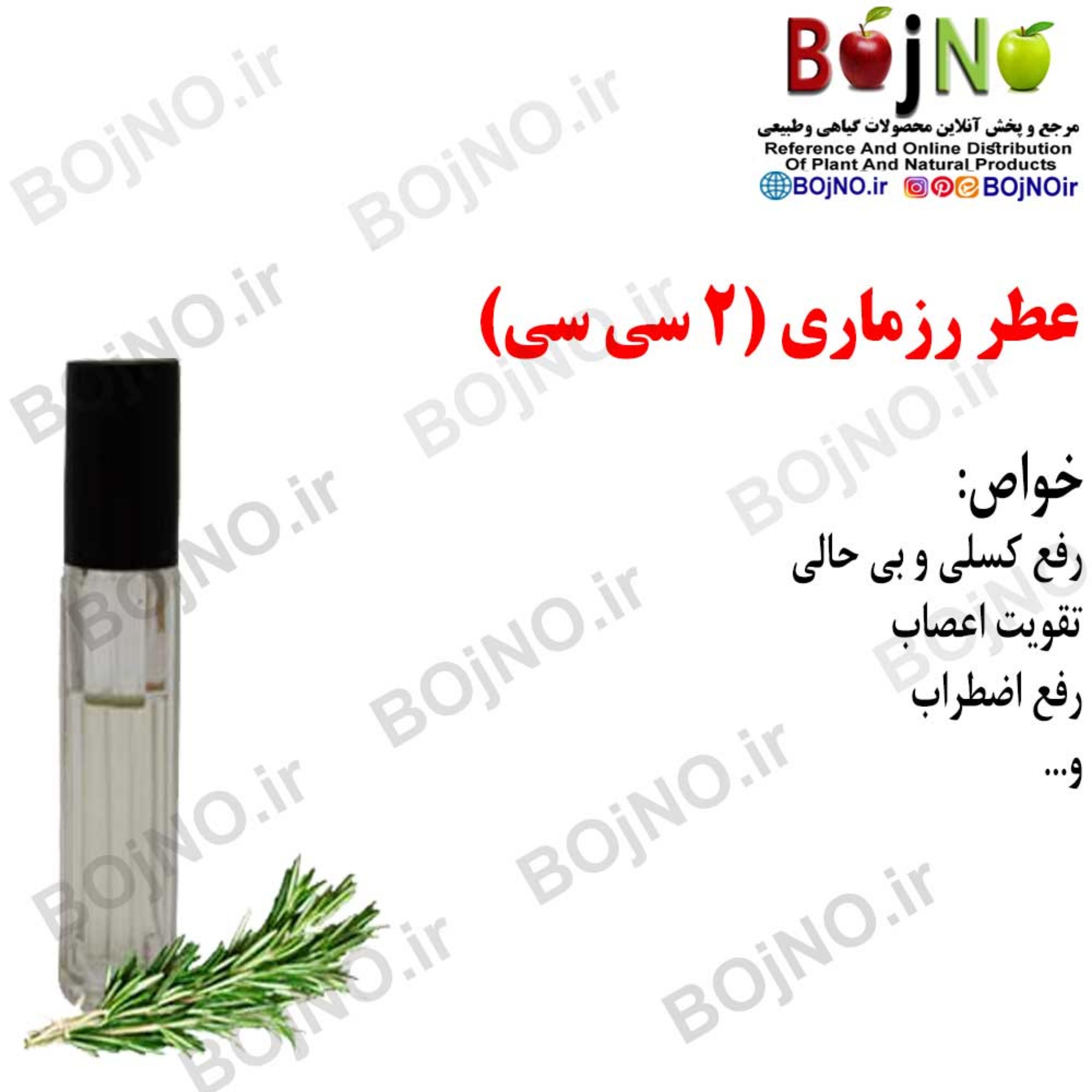 عطر رزماری 4 سی سی