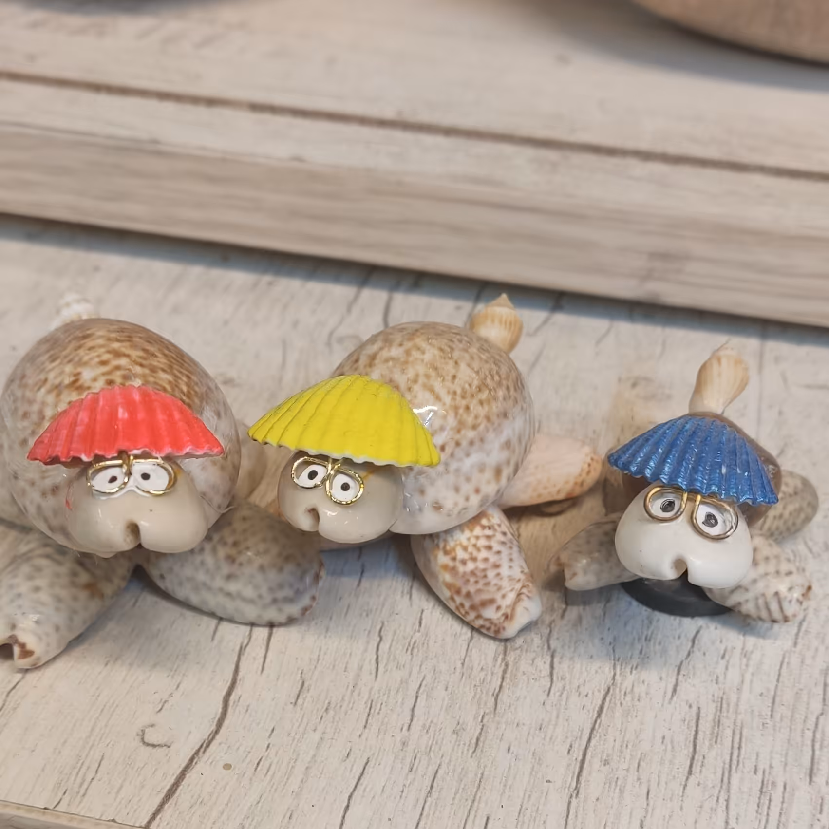 لاکپشت  صدفی 