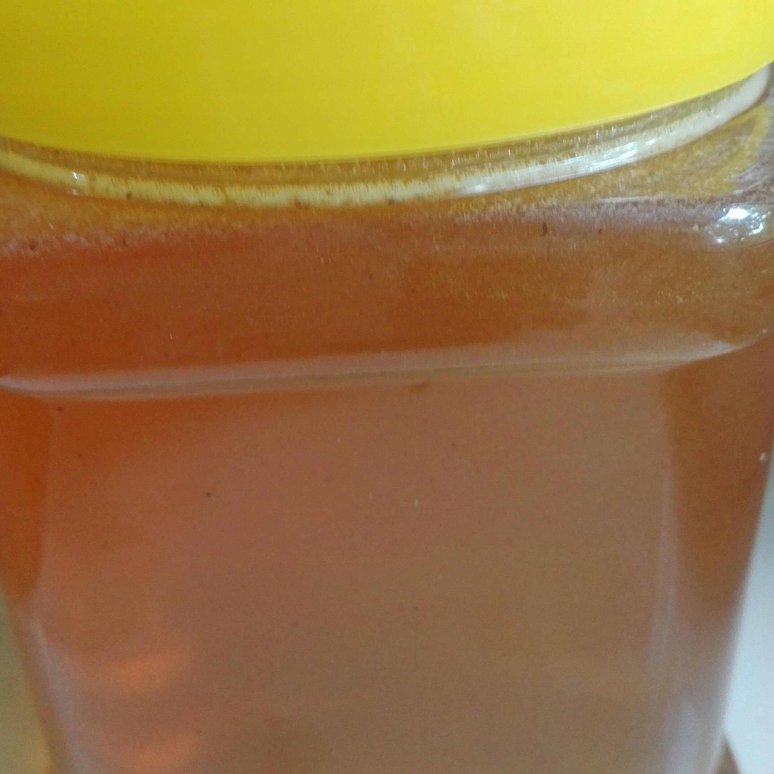 عسل چهل گیاه(500g)