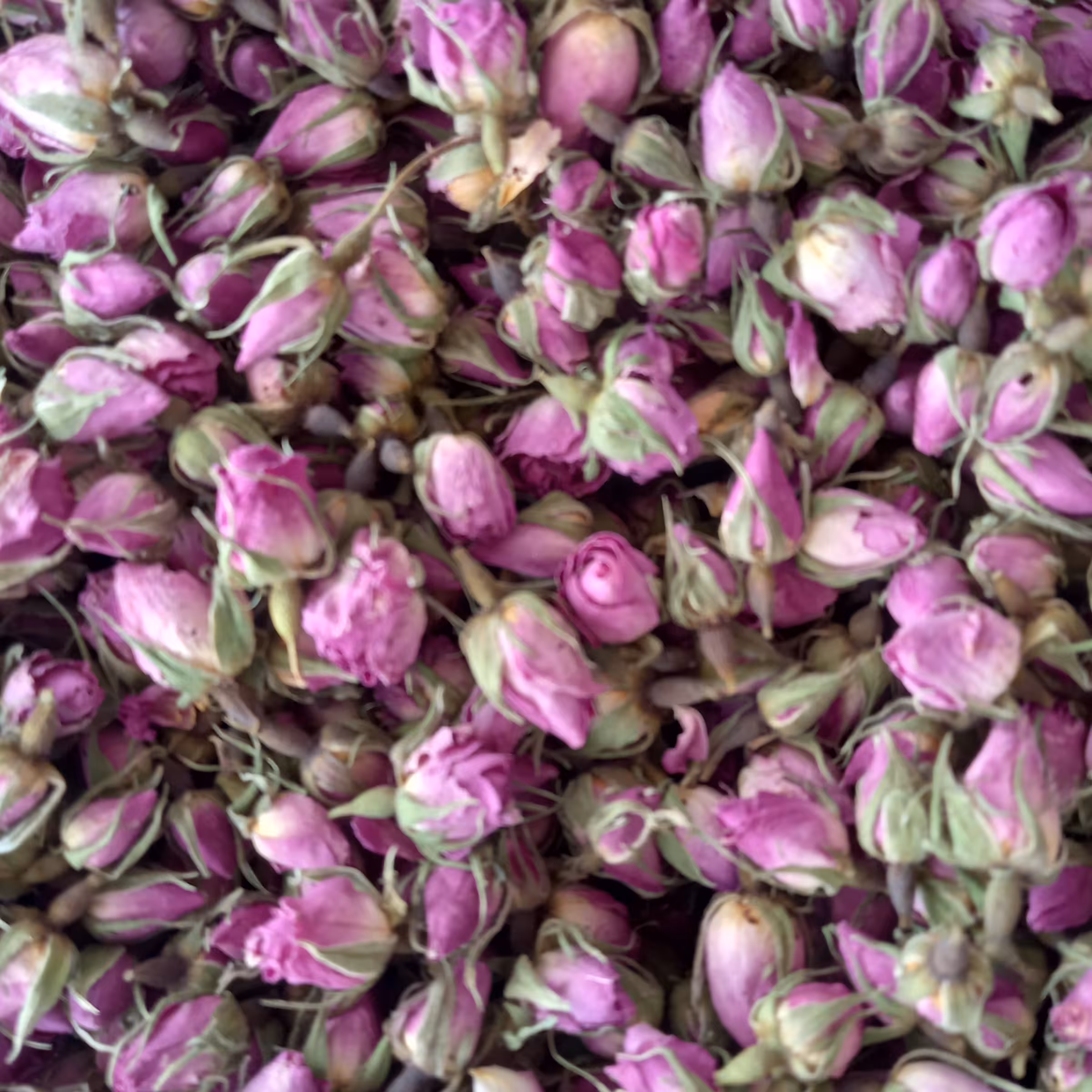 غنچه گل محمدی 200 گرمی معطر