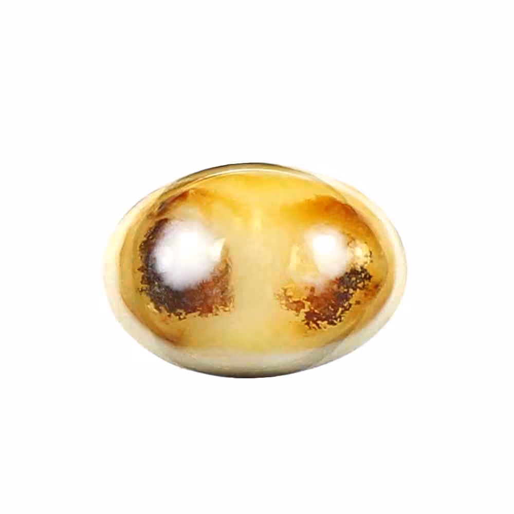 باباقوری دو کوهانه code5208
