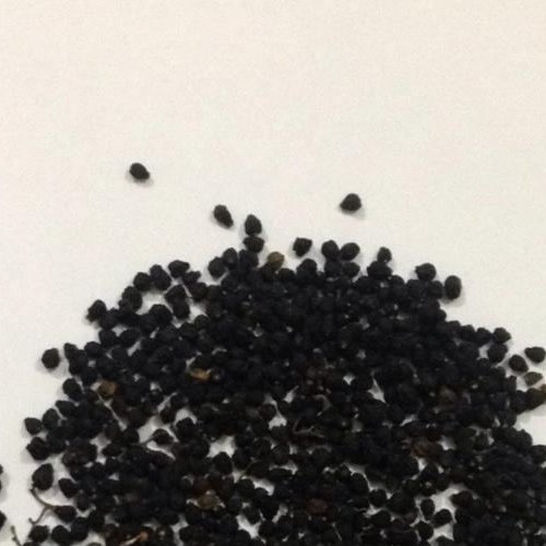 سیاه توسه درجه 1 ، بهبود دهنده بیماری های التهاب کبد، یرقان، ملین،  ضد ویروس
