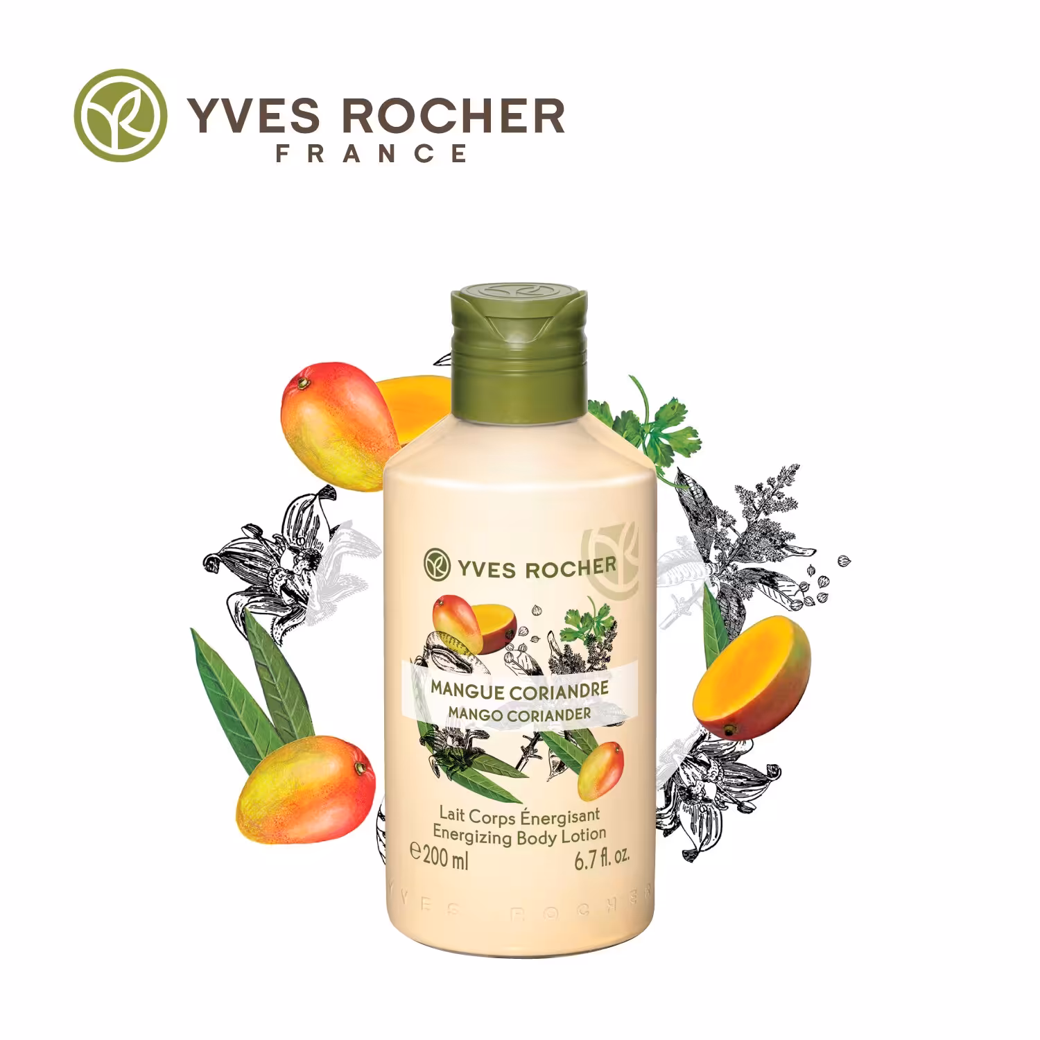 لوسیون بدن ایوروشه انبه و گشنیز 200 میل | فروشگاه ارس ترک