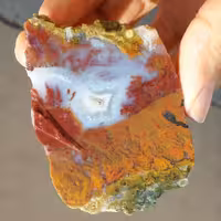 اسلایس سنگ راف عقیق منظره با قابلیت ساخت چند نگین 
 100 در 100 طبیعی  
کد 11683