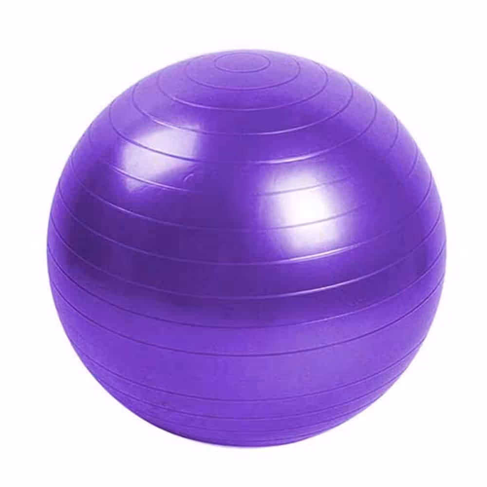 توپ بدنسازی جیم بال 65 سانتیمتری - فروشگاه نسل آهن