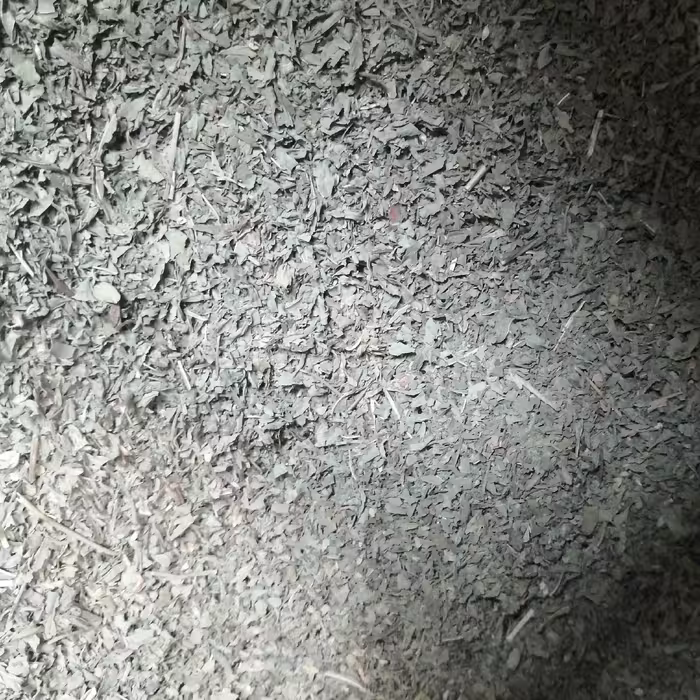 نعناع یک کیلو