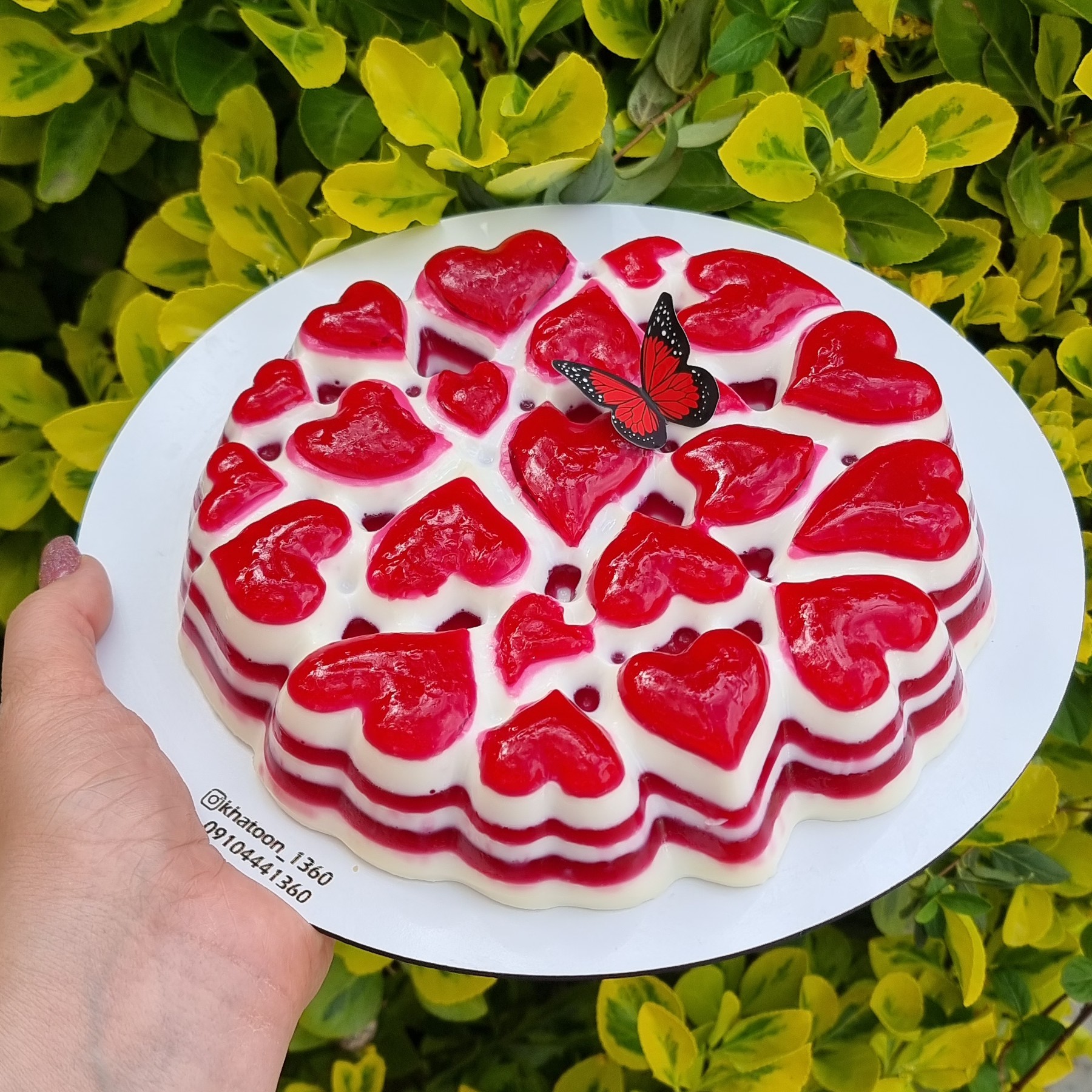 پاناکوتا تلفیقی ژله رنگی زیبا و جذاب