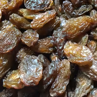 مویز آفتاب خشک500 گرمی(رطبی  شیراز)