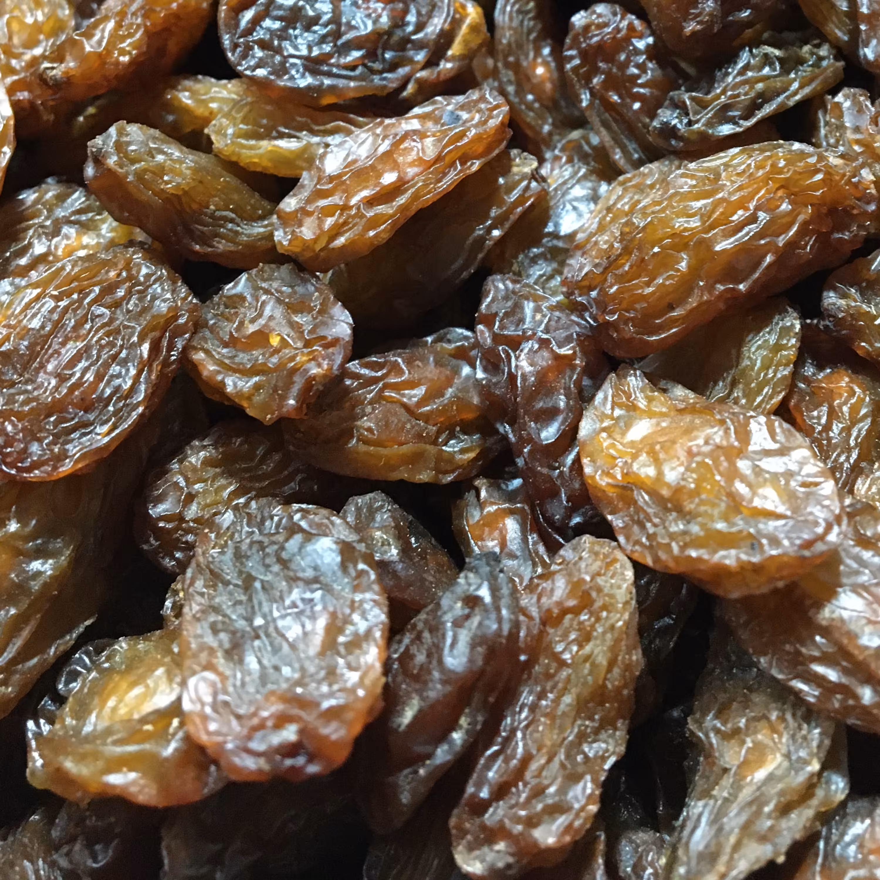 مویز آفتاب خشک500 گرمی(رطبی  شیراز)