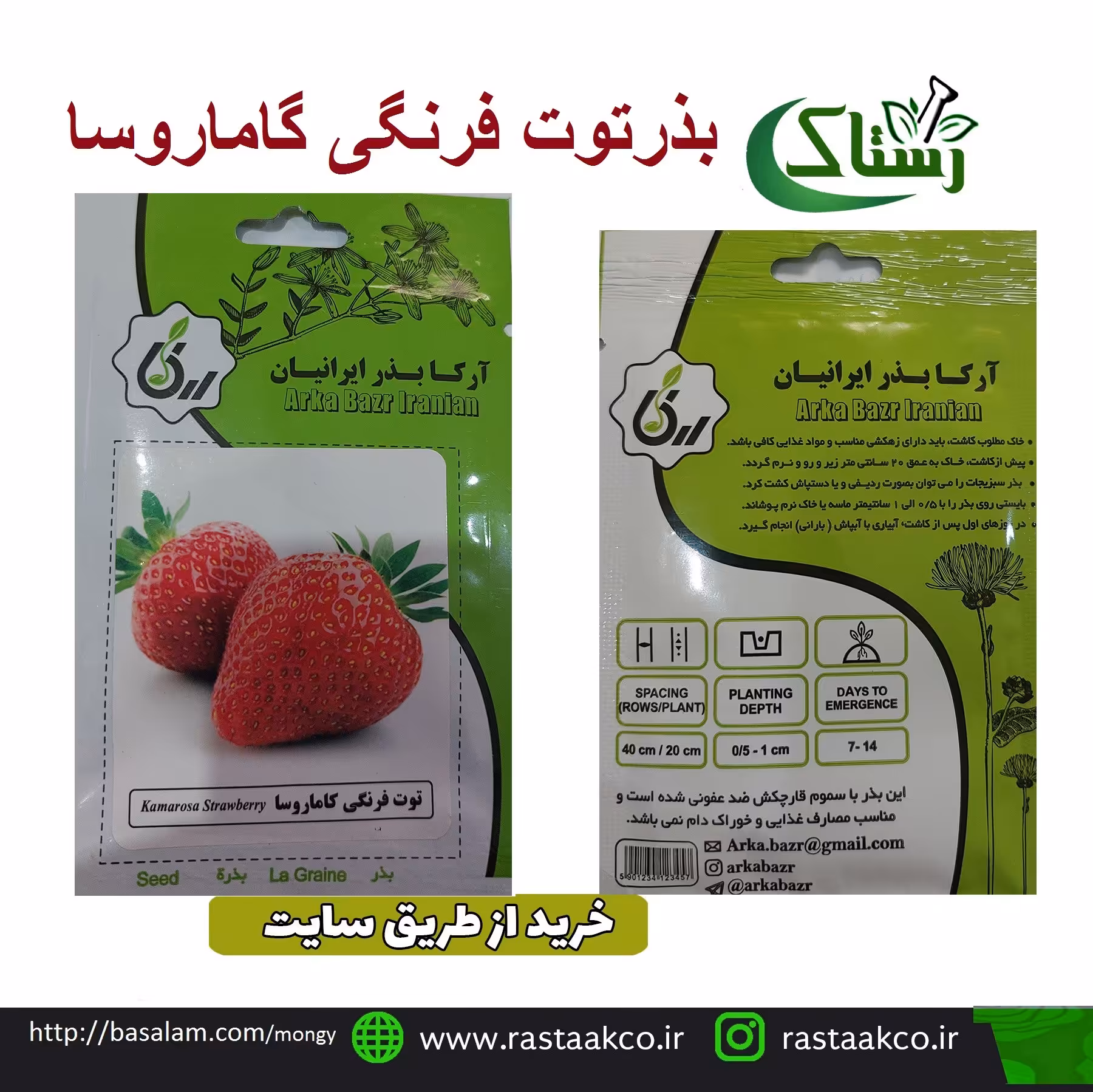 بذروتخم توت فرنگی گاماروساتبریز رستاک  (10گرمی)