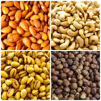 آجیل چهار مغز شور ممتاز 500 گرمی(تضمین کیفیت)