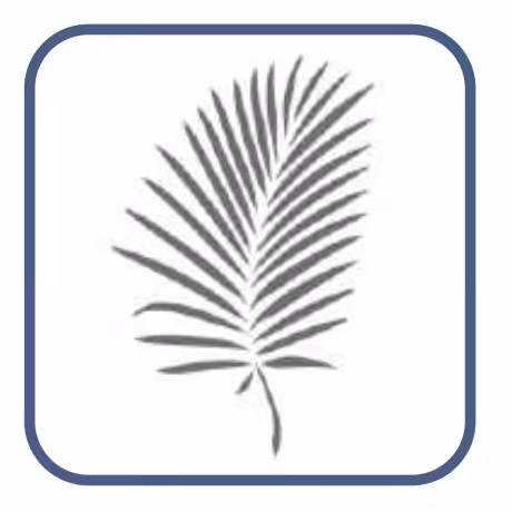 شابلون طرح برگ سوزنی کد 70 سایز 20 در 30