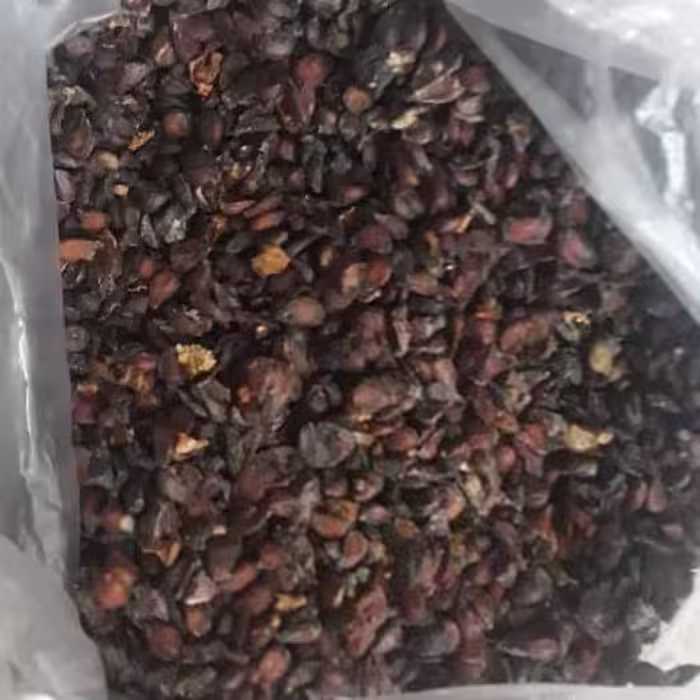 به دانه یا به زبان محلی کلو