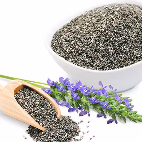 دانه چیا نیم کیلویی