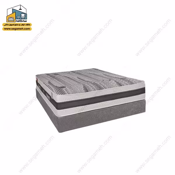 تشک برن مدل برلینا مموری S/H