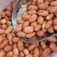 بادام زمینی  آستانه اشرفیه  صددرصد ایرانی 