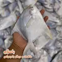 حلوا سفید صادراتی سایز بزرگ(400-700گرمی) تازه(1 کیلوگرم )