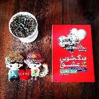 کتاب فنگ شویی برای جذب عشق اثر استفان رابرت  نشر آزرمیدخت (سبک  چیدمان و دکوراسیون منزل )