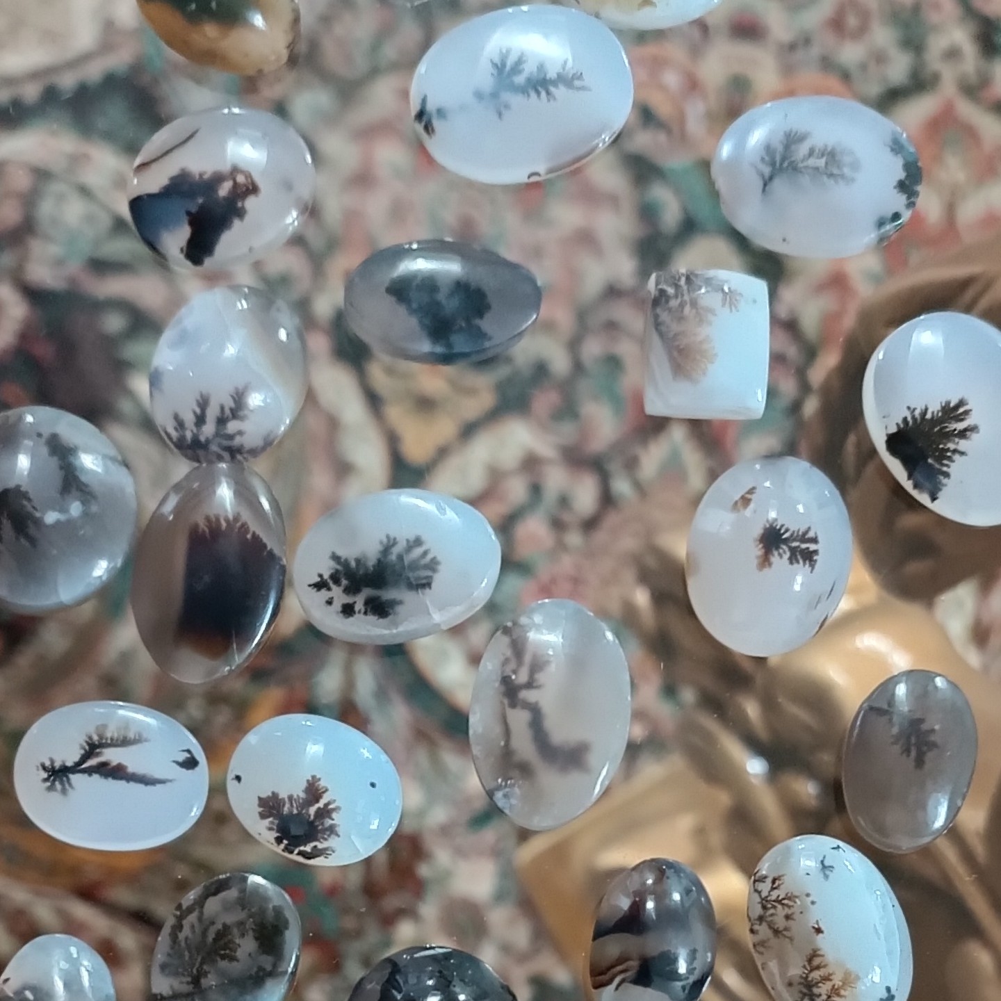 بارخونه شجر35عددی