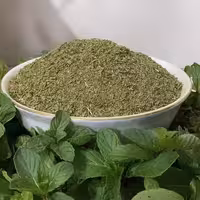 سبزی نعناع خشک محلی در بسته بندی 100 گرمی