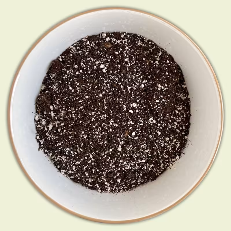 خاک مخصوص گیاه حشره خوار (پس کرایه)