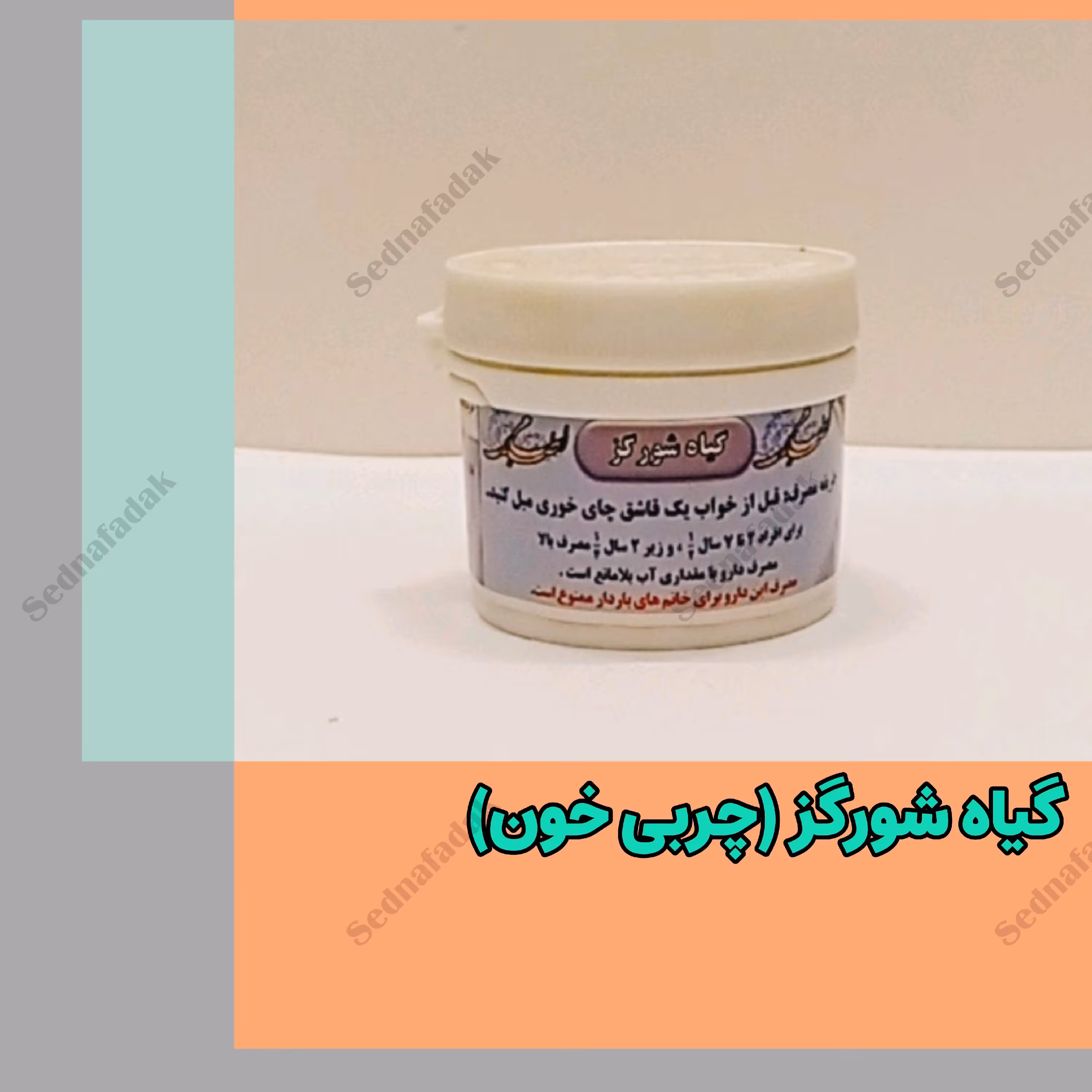 گیاه شورگز (چربی خون)