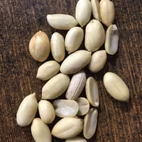 بادام زمینی بدون پوست 250گرم