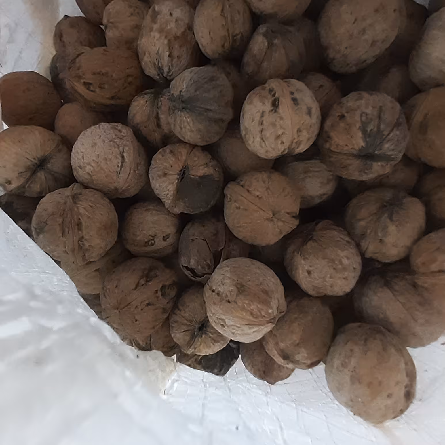 گردو با پوست کاغذی مراغه. خیلی پوست نازک و خوشمزه و با کیفیت 