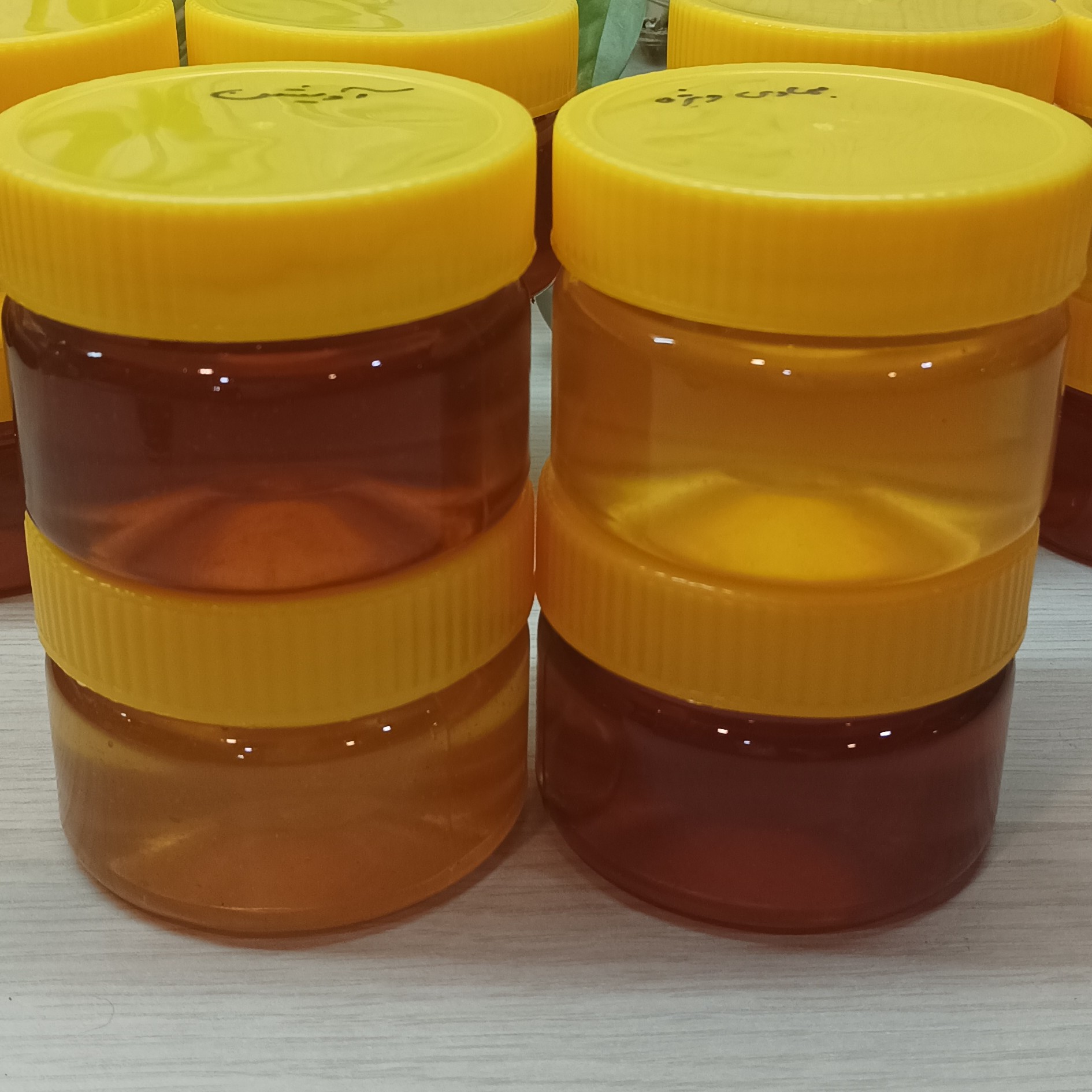 عسل .پک چهارعددی عسل سرحد، بهاره ویژه، کنار ویژه ، گون، اویشن